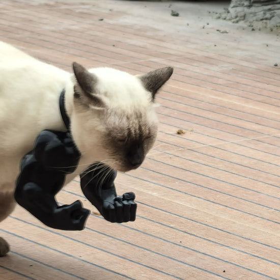 3D printed Hulk Cat Arm Black