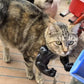 3D printed Hulk Cat Arm Green