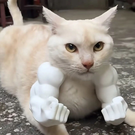 3D printed Hulk Cat Arm White