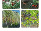Transparentnylonmesh,4meterswideby10meterslong