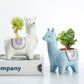 Alpaca Red Ceramic Planter