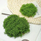 diy artificial moss lawn-Dark Green Filamentous Moss 1000g (Bulk)