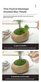 diy artificial moss lawn-Dark Green Filamentous Moss 30g