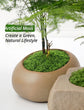 diy artificial moss lawn-Light Green Filamentous Moss 30g