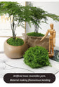 diy artificial moss lawn-Light Green Filamentous Moss 500g (Bulk)
