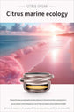 Car Aromatherapy-Black