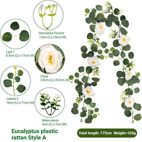 Eucalyptus Rattan - 36 Heads-A