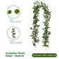 Eucalyptus Rattan-48 Heads Three-forked With Fruits