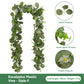 Eucalyptus with Flowers - 37 Heads-J