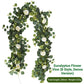 Eucalyptus with Flowers - 72 Heads-B