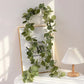 Eucalyptus with Flowers - P