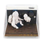 Exploring Space Astronauts