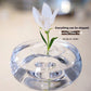 Flower Hydroponic Vase Small