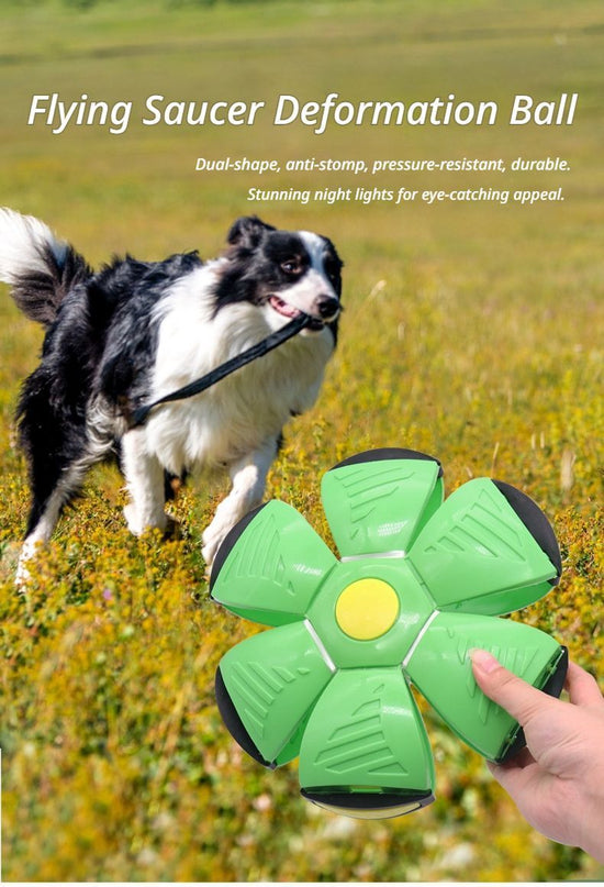 Frisbee Deformation Ball - green + 3 Light Version×5