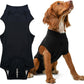Pet physiological pants-S