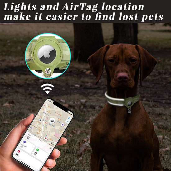 Pet positioning collar-Heart Green 1Pair2-XL-without locator