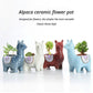 Red Ceramic Planter with Head Tilted Alpaca