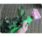 Rose thorn remover-Green