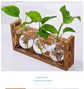 HydroponicWoodenFramewithSnap-On-Heart-ShapedTripleBottle