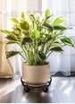 Black Round Wheel Plant Caddy