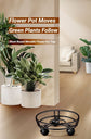 Black Round Wheel Plant Caddy