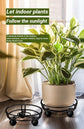 Black Round Wheel Plant Caddy