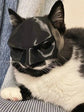 Pet Cat Stylish Face Mask, Cute Party Costume Accessory For Halloween & Christmas, Black