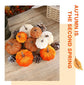 Ins Flocked Pumpkin Figurine, Halloween & Christmas Party Desktop Ornament, Ideal Indoor Festive Decoration, Cream White 10cm