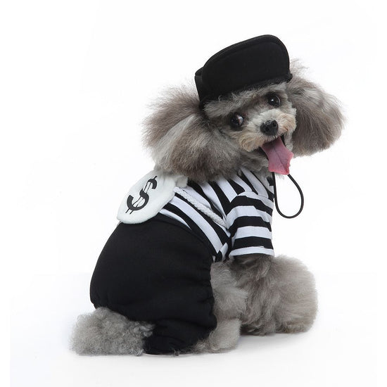 XL Size Kaleido Stripe Pet Costume, Fancy Dress for Halloween & Christmas, Lightweight for 7-10 kg Dogs and Cats