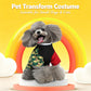 XL Size Valencia Sun Pet Costume, Fancy Dress for Halloween & Christmas, Lightweight for 7-10 kg Dogs and Cats