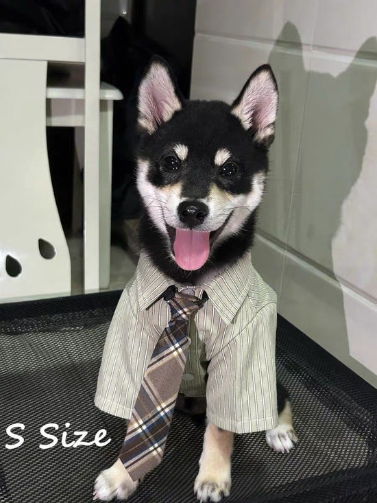 Lightweight Spring Summer Pet Shirt for Cats & Dogs, Smart Stylish Collared Outfit With Tie, Green, Size S, Back Length 24cm, Suitable for 3‑4kg Pets, Christmas Halloween Pet Fashion Gift