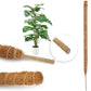 pcs Monstera moss pole for potted plants, bendable plant support