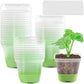 12 Piece Square Grow Pots with Drainage and Plant Labels, 10 cm