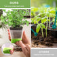 12 Piece Square Grow Pots with Drainage and Plant Labels, 10 cm