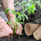 60 Piece Biodegradable Round Grow Pots with Drainage, 8 cm