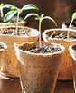 60 Piece Biodegradable Round Grow Pots with Drainage, 8 cm