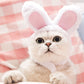 Cat Costume Hats Set of 5, Cute Lion Mane Bunny Banana Frog Sunflower Design Pet Headwear for Cats and Small Dogs, Halloween Party Dress Up Accessory, Soft Warm Material