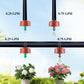 60Pcs 0.25 GPH Pressure Compensating Irrigation Spot Drippers,Constant Flow Barb Outlet Watering Dripper Emitters Heads Parts for 1/4 Inch Watering Tubing Line for Garden Pots Plant Irrigation Systems