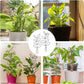 4 Pcs Small Metal Trellis for Potted Plants,Indoor Plants Trellis for Climbing,Leaf Shapes Mini Plant Trellis Support Stake House Plant Trellis for Garden Potted, Hoya, Pothos, Flower, Monstera(Black)