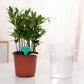 200 feet 1/4 inch Self Watering Capillary Wick Cord Vacation Plant Sitter DIY Hydroponic Wicking Rope Seeds Start Planter Pot Automatic Potted Flower Passive Lazy Waterer String System Device