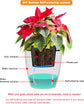 200 feet 1/4 inch Self Watering Capillary Wick Cord Vacation Plant Sitter DIY Hydroponic Wicking Rope Seeds Start Planter Pot Automatic Potted Flower Passive Lazy Waterer String System Device