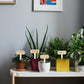 Funny Plant Markers, 16Pcs Garden Labels, Gardening Gifts for Gardeners,Women,Funny Plant Labels for Pots