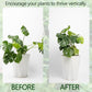 Gold Indoor Plant Stand for Climbing Plants - Plant Support Holder