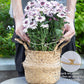 Gold Indoor Plant Stand for Climbing Plants - Plant Support Holder