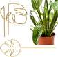 2 Pack Gold Plant Supports Indoor Outdoor Plant Stakes Clips Plant Stand for Plant Support