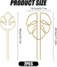 2 Pack Gold Plant Supports Indoor Outdoor Plant Stakes Clips Plant Stand for Plant Support