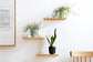 Ceramic Flower Pot - Indoor/Outdoor Use - Shatterproof - White - 1 Piece Wall-Mounted Planter