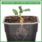 12 Pcs Reusable Green Seedling Starter Pots - Mini Succulent Planters for Seed Germination