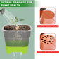 12 Pcs Reusable Green Seedling Starter Pots - Mini Succulent Planters for Seed Germination