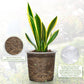 20-Pack Clear Plant Pots with Trays 4/5/6/7 Inch for Succulents Orchids Cuttings